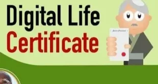 Digital Life Certificate.jpg