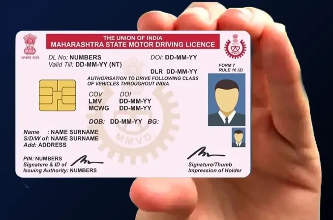 Driving License 3.jpg