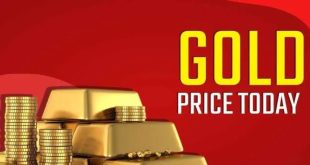 Gold Price Today In Rajkot 11 No