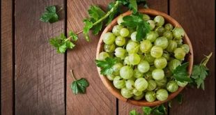 Health Benefits Of Amla 768x432 (1)