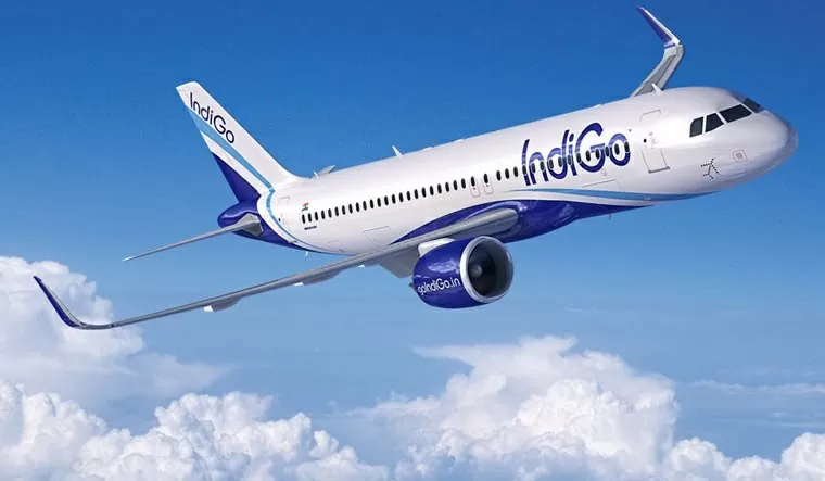 Indigo Passengers.jpg