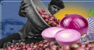 Onion Price One 768x432.jpg