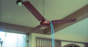 Suicide Hang Self Fan Rjt 12924