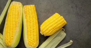 Sweet Corn 768x432.jpg