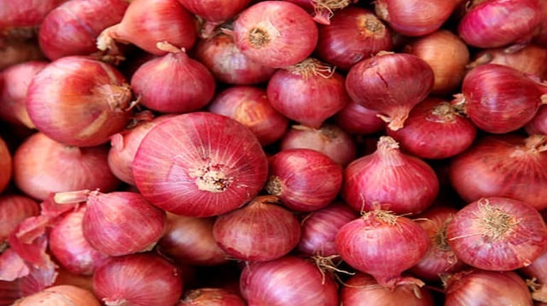 Onion 1200