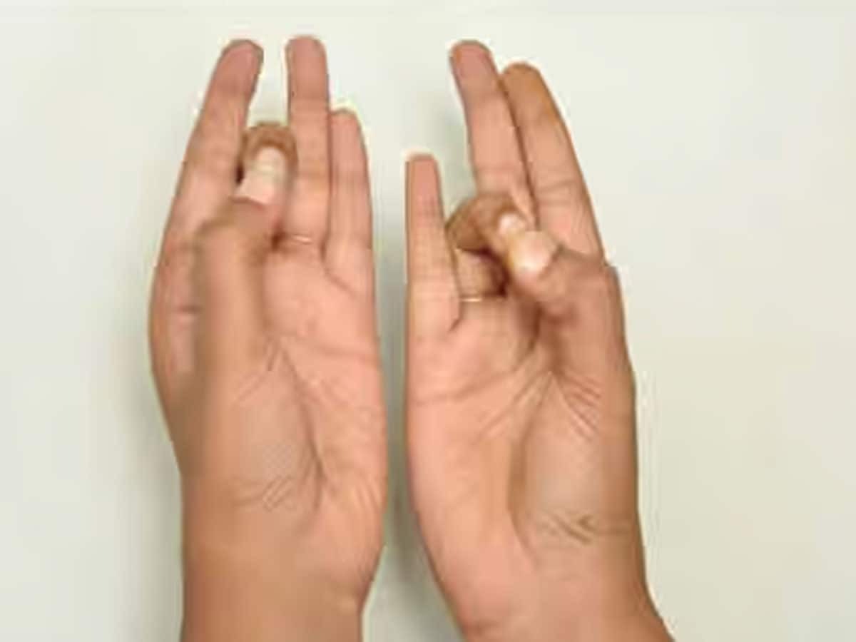 619489 Sandhi Mudra