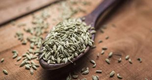 623640 Fennel Seeds