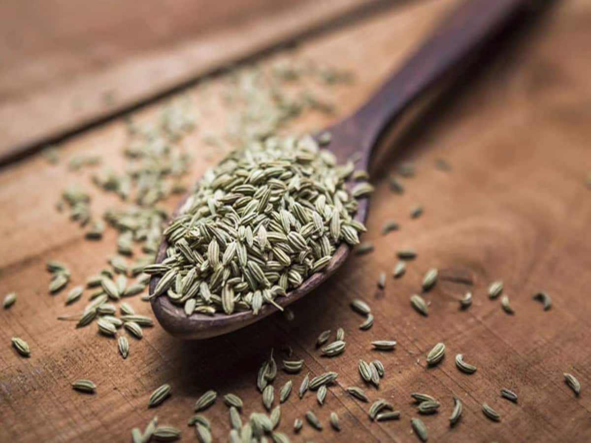 623640 Fennel Seeds