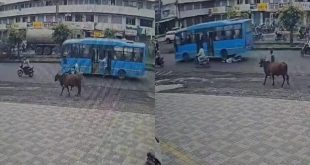 Bus Accident One.jpg 768x432.jpg