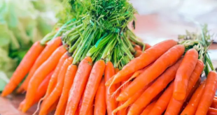 Carrot Benefits In Gujarati 768x