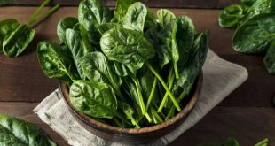 High Protein Diet Spinach 768x43