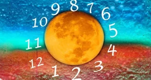 Numerology Predictions Today