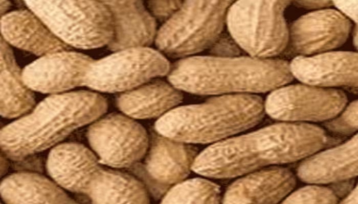 peanuts