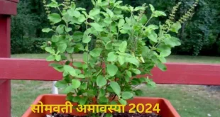 Somvati Amavasya 2024