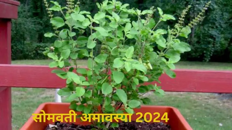 Somvati Amavasya 2024