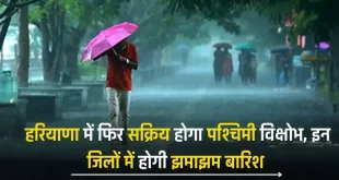 Haryana Weather News, Haryana weather update, Mausam, Breaking news, Rain, Rain Alert, Haryana Mausam Update, IMD, Mausam Alert, Haryana Rain Alert, Barish,