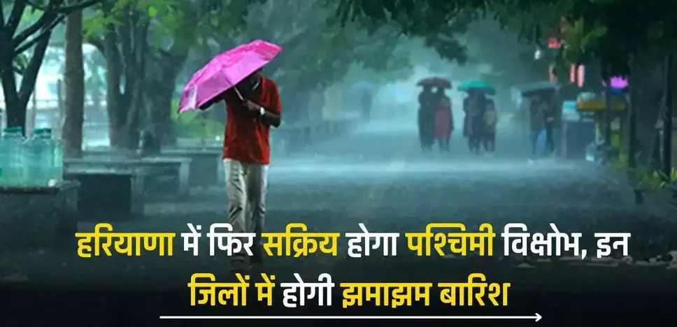 Haryana Weather News, Haryana  weather update, Mausam, Breaking news, Rain, Rain Alert, Haryana Mausam Update, IMD, Mausam Alert, Haryana Rain Alert, Barish,