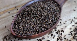 629185 Black Cumin