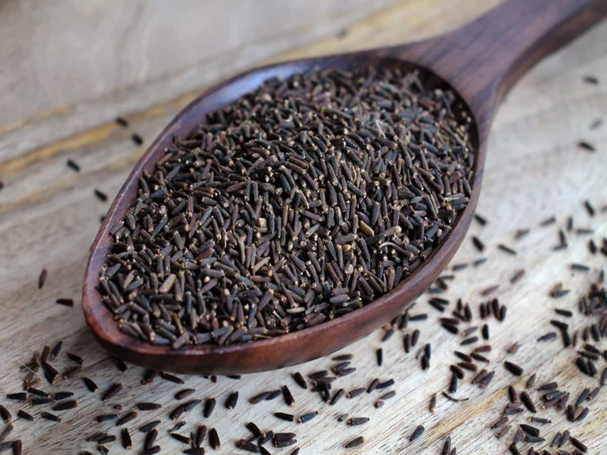 629185 Black Cumin