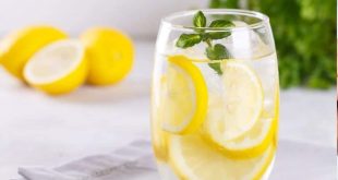 629740 Lemonwater