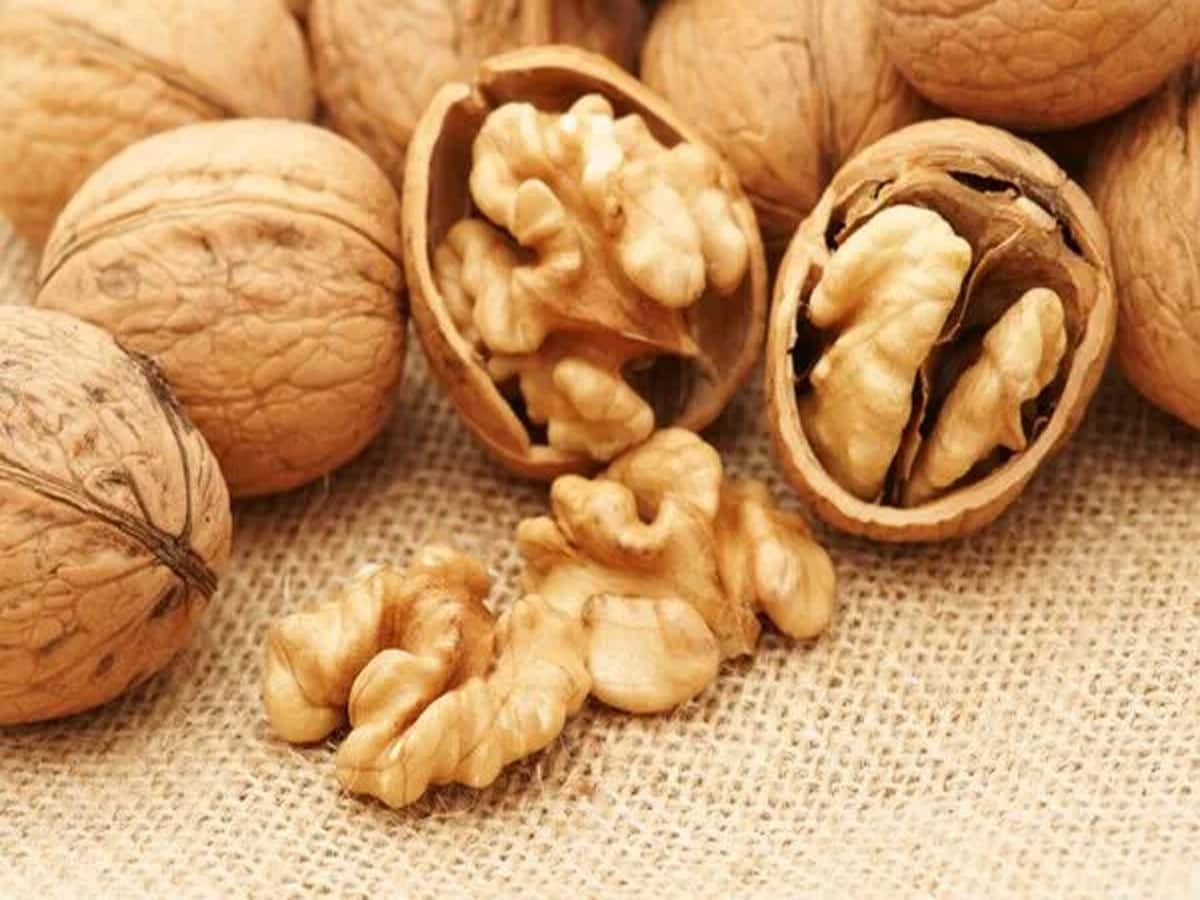 630322 Walnuts