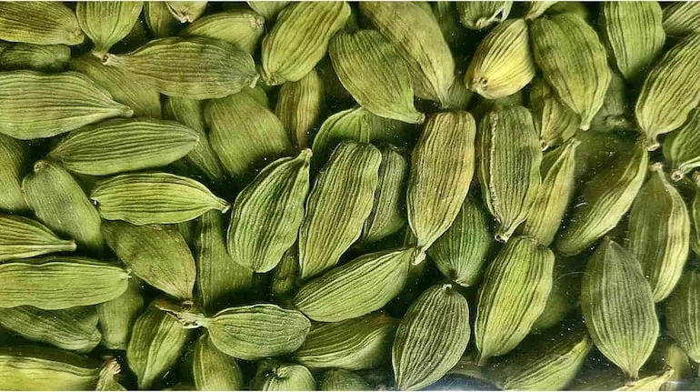 Cardamom