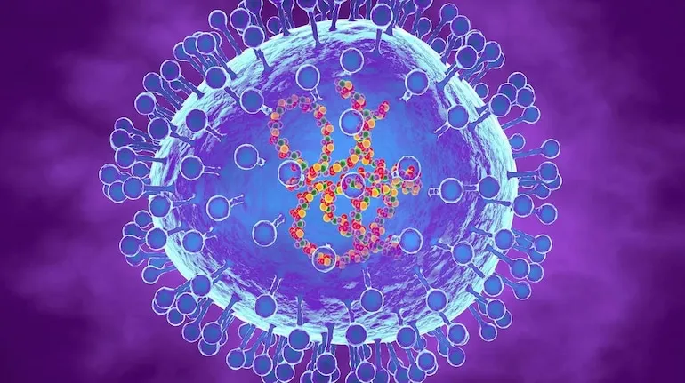 Hmpv Virus