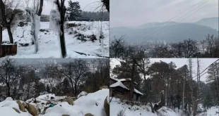 Jammu Kashmir Snowfall