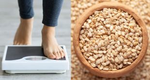 Sesame Seeds Thumbnail 173658577