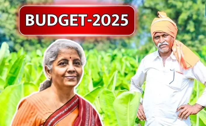 Budget 2025 13