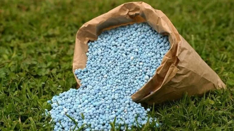 Fertilizer Subsidy