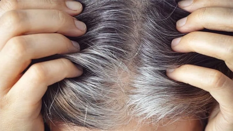   How To Get Rid Of Gray Hair 1