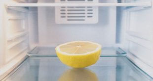 Lemon In Fridge 1736142407918 17