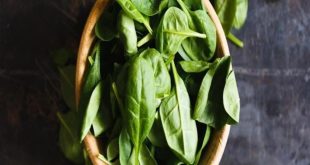 Spinach 1645769509 1735639629272 (1)