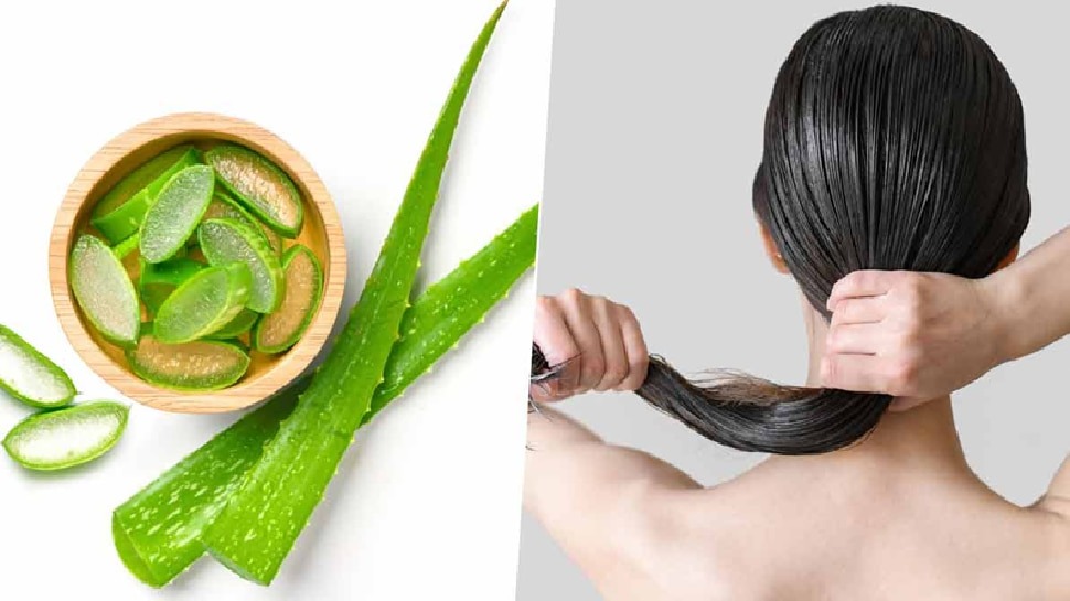 इस तरह से एलोवेरा का उपयोग करने से आपके बालों की सभी समस्याएं हल हो जाएंगी