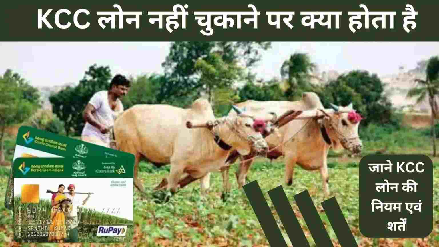 किसान क्रेडिट कार्ड (KCC) लोन नहीं चुकाया तो क्या होगा? क्या सच में नीलाम हो जाती है जमीन? जानें पूरा सच