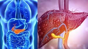 फैटी लिवर का पता लगाएं बिना किसी ब्लड टेस्ट के? दिल्ली के टॉप डॉक्टर ने बताए ये 5 छुपे हुए संकेत